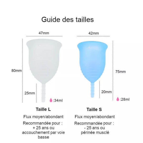 Cup menstruelle guide des tailles