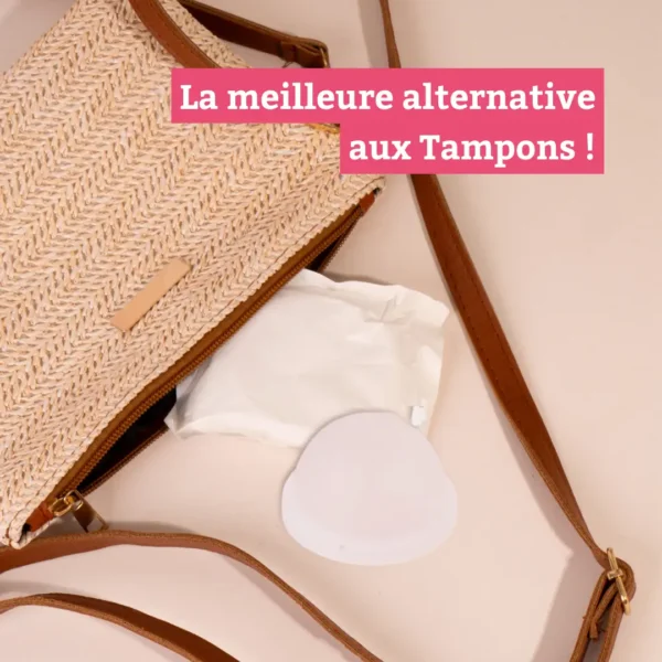 Le disque jetable dans un sac à main