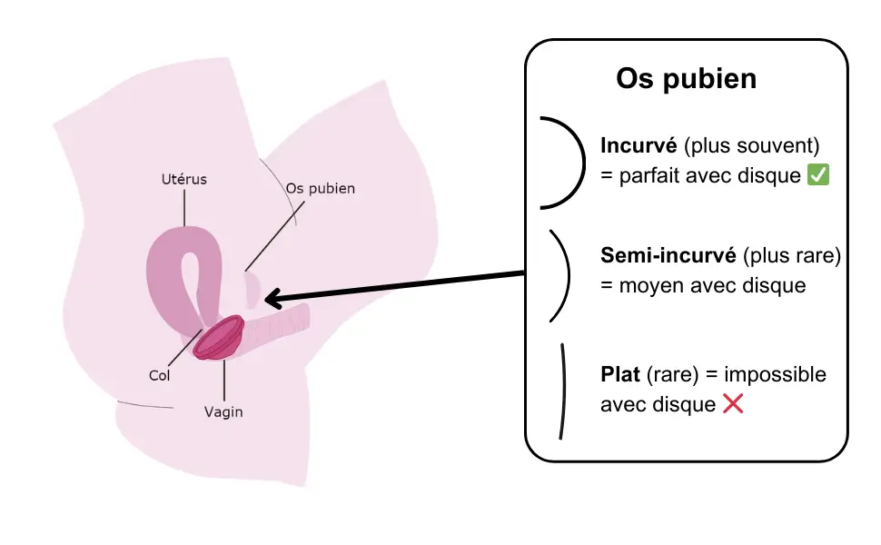 Forme de votre os pubien