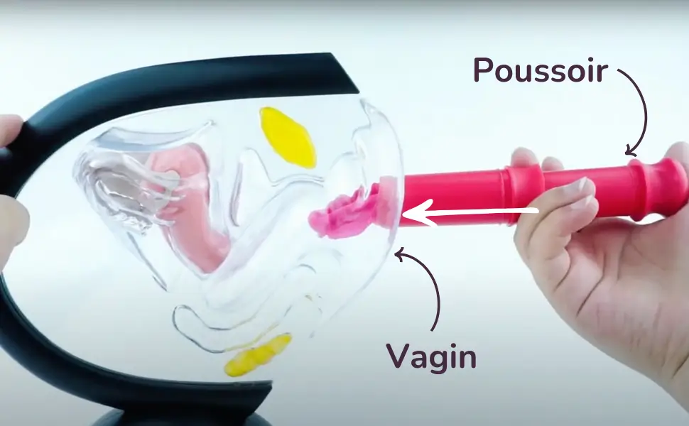 Inserer un disque avec applicateur